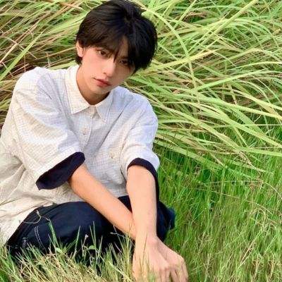 澳门天天免费资料大全下载手机app下载