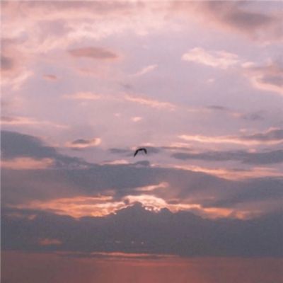 开云APP官方下载