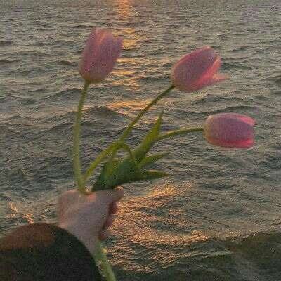 乐鱼娱乐app截图