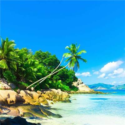 乐发彩票APP下载下载手机版