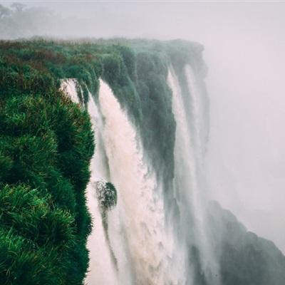 真人斗牛牛app下载