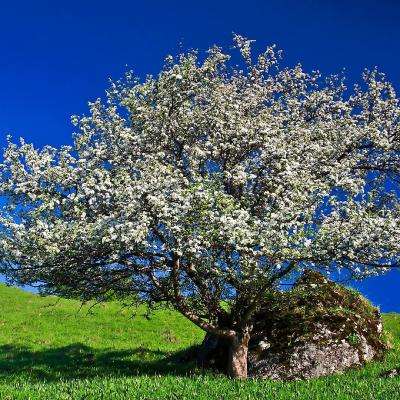 澳门娱乐皇冠APP