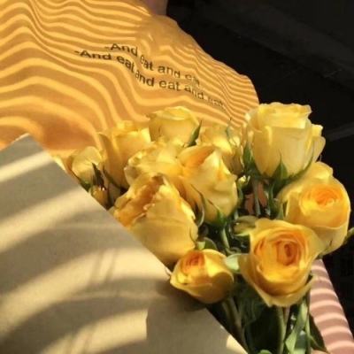 竞彩足球app官网下载