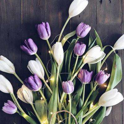 beat365手机版官方网站app下载